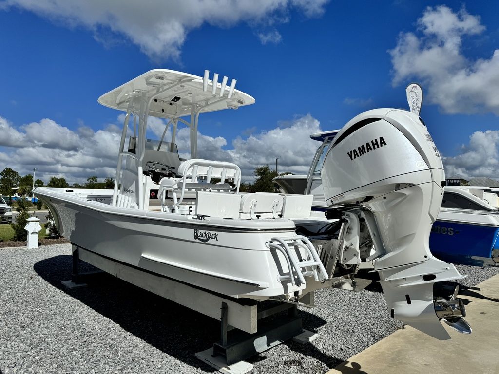 New BlackJack 256 Bay 2025 for sale in orange beach, Alabama